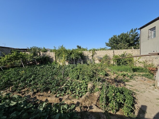 4 otaqlı həyət evi/bağ evi - Binə q. - 220 m² (3)