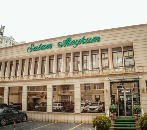2 otaqlı yeni tikili - Şah İsmayıl Xətai m. - 100 m² (2)