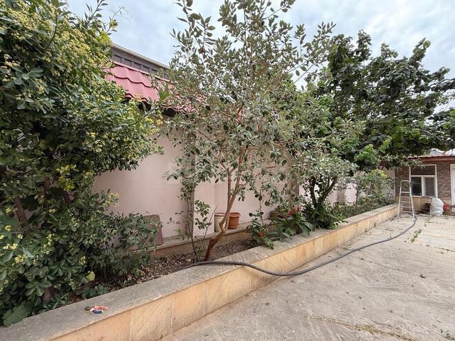 5 otaqlı həyət evi/bağ evi - Biləcəri q. - 250 m² (4)