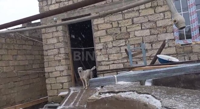 2-комн. дом/дача - пос. Мардакан - 120 м² (2)