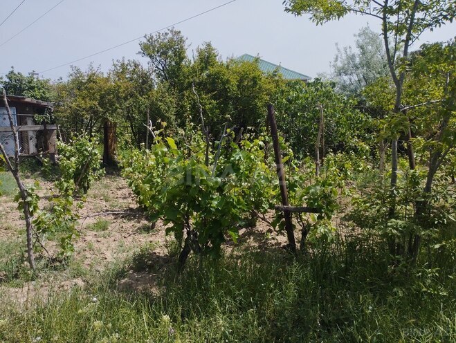 Torpaq - Sumqayıt - 12 sot (6)