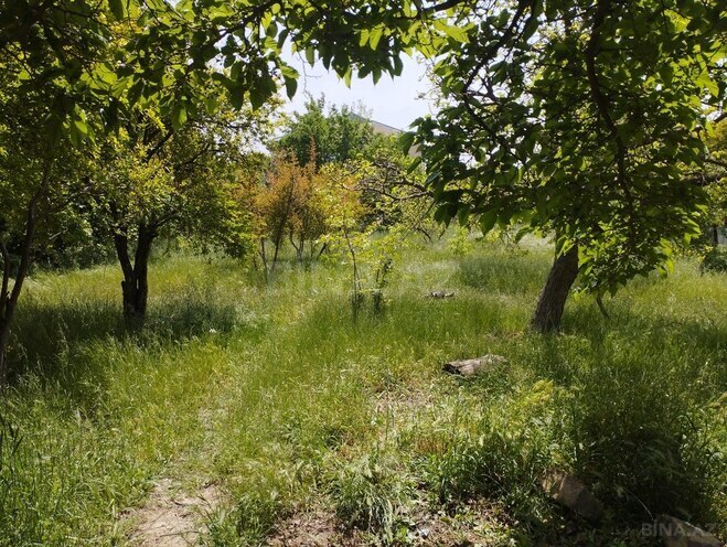 Torpaq - Sumqayıt - 12 sot (1)