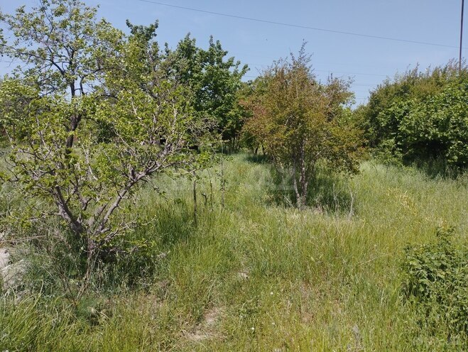 Torpaq - Sumqayıt - 12 sot (2)