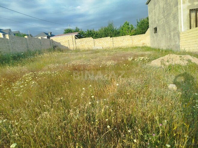 Участок - Шемаха - 8 сот (1)