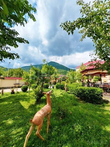 4 otaqlı həyət evi/bağ evi - Qəbələ - 220 m² (4)