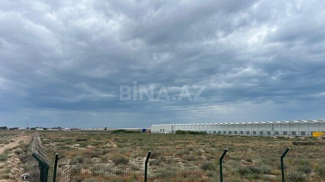 Продаётся  участок 200 сот, пос. Зире, photo 4 from 11