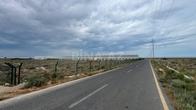 Продаётся  участок 200 сот, пос. Зире, photo 7 from 11