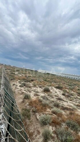 Продаётся  участок 200 сот, пос. Зире, photo 3 from 11