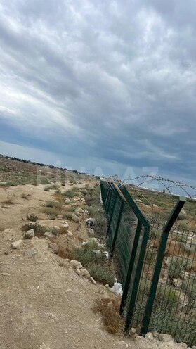 Продаётся  участок 200 сот, пос. Зире, photo 10 from 11