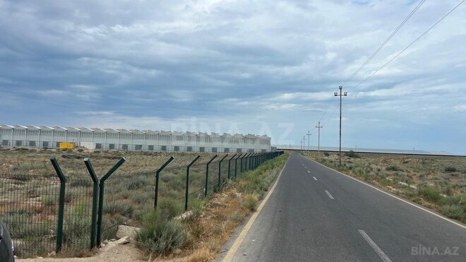 Продаётся  участок 200 сот, пос. Зире, photo 9 from 11