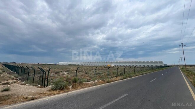 Продаётся  участок 200 сот, пос. Зире, photo 6 from 11