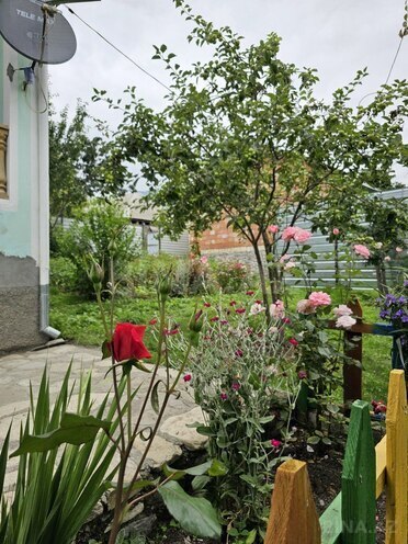 3-комн. дом/дача - Исмаиллы - 90 м² (9)