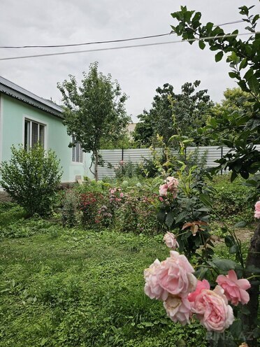 3-комн. дом/дача - Исмаиллы - 90 м² (8)