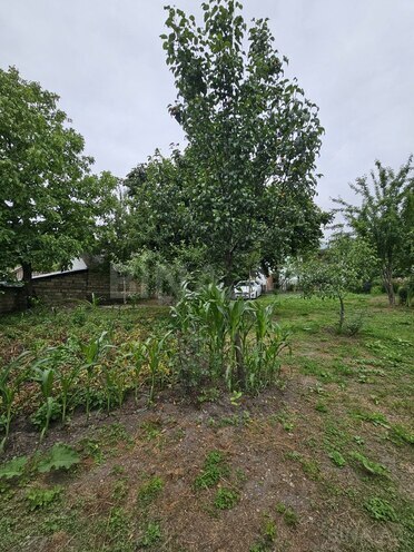 3-комн. дом/дача - Исмаиллы - 90 м² (13)