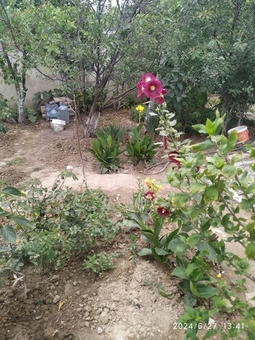 3 otaqlı həyət evi/bağ evi - Masazır q. - 80 m² (10)
