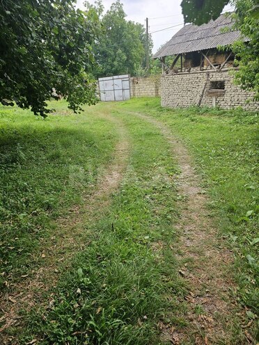 Участок - Габала - 100 сот (4)
