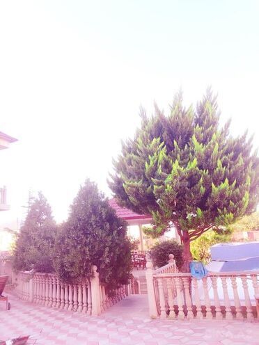 7 otaqlı həyət evi/bağ evi - Novxanı q. - 250 m² (14)