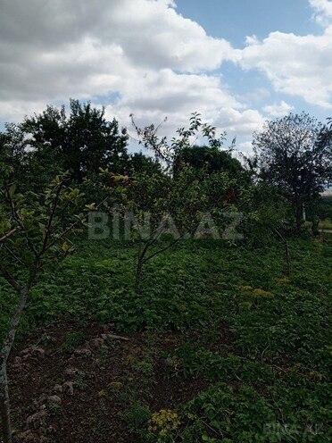 3 otaqlı həyət evi/bağ evi - Şamaxı - 80 m² (25)