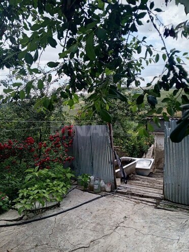 3 otaqlı həyət evi/bağ evi - Şamaxı - 80 m² (15)