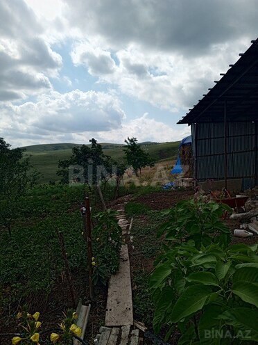 3 otaqlı həyət evi/bağ evi - Şamaxı - 80 m² (22)
