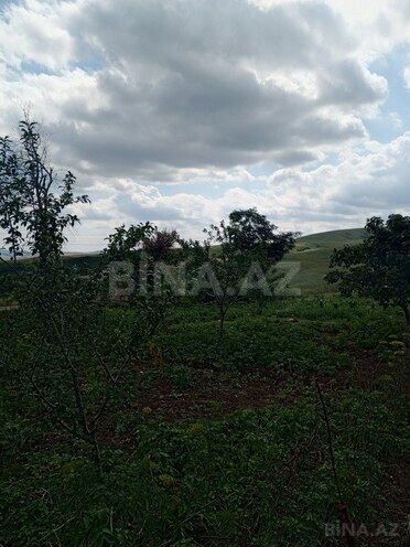 3 otaqlı həyət evi/bağ evi - Şamaxı - 80 m² (24)