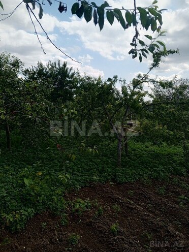 3 otaqlı həyət evi/bağ evi - Şamaxı - 80 m² (19)