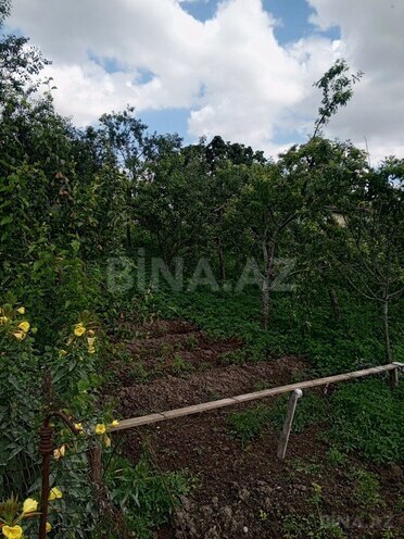 3 otaqlı həyət evi/bağ evi - Şamaxı - 80 m² (26)