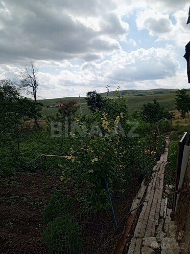 3 otaqlı həyət evi/bağ evi - Şamaxı - 80 m² (20)