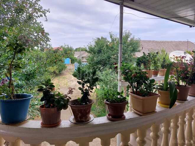 3 otaqlı həyət evi/bağ evi - Lənkəran - 110 m² (19)