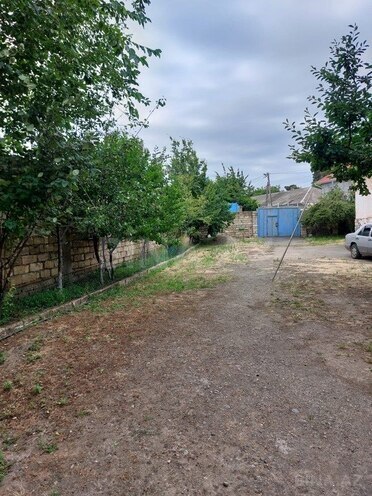 3 otaqlı həyət evi/bağ evi - Lənkəran - 110 m² (4)