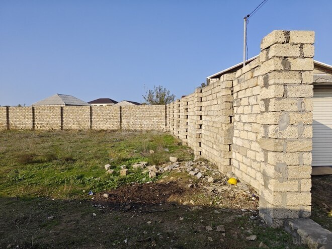 Torpaq - Albalılıq q. - 12 sot (10)