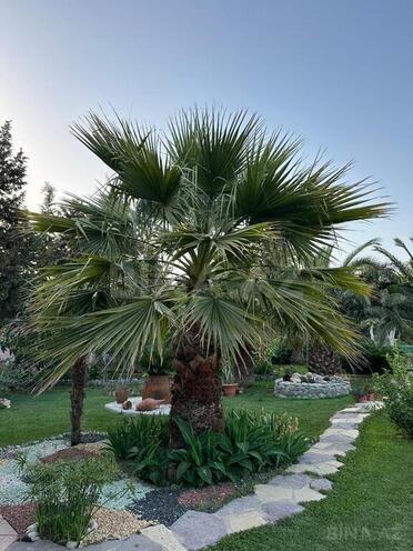 Satılır 6 otaqlı həyət evi/bağ evi 450 m², Mərdəkan q., photo 5 from 31