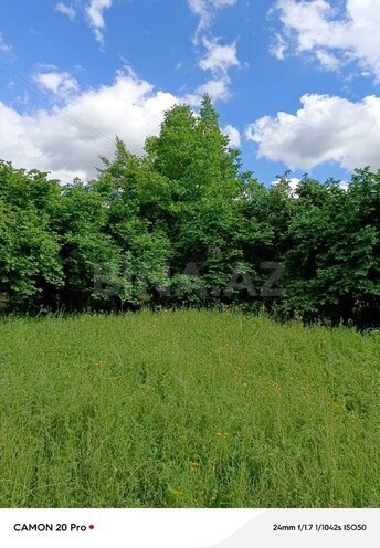 Участок - Исмаиллы - 12 сот (7)