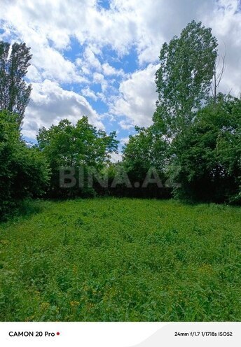 Участок - Исмаиллы - 12 сот (4)