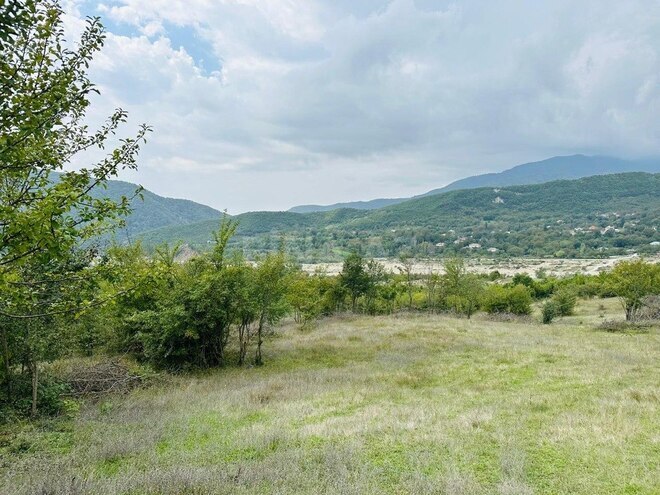 Torpaq - Şamaxı - 72 sot (2)