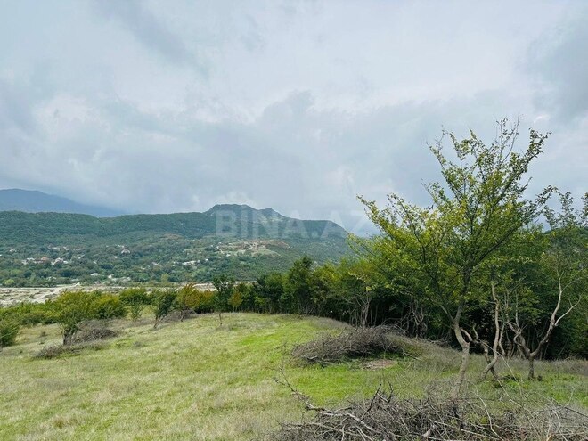 Torpaq - Şamaxı - 72 sot (3)