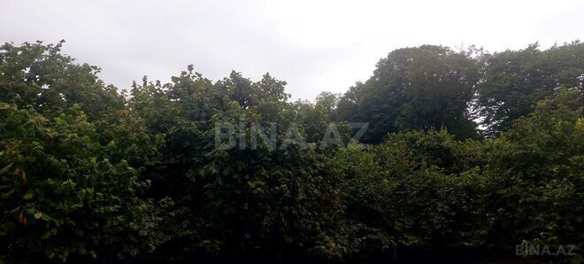 Участок - Габала - 16 сот (3)