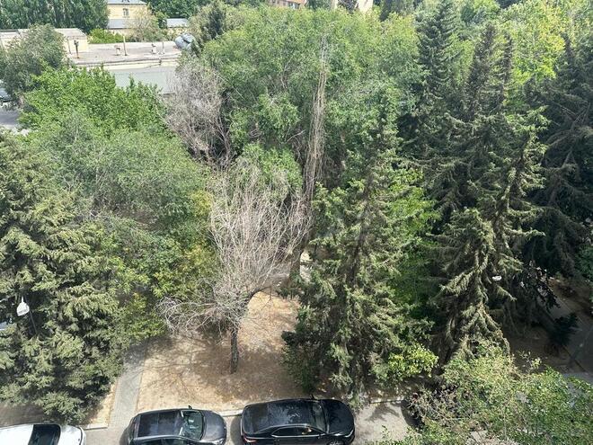 1 otaqlı yeni tikili - Azadlıq Prospekti m. - 25 m² (8)