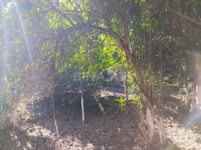 Продаётся  участок 4.5 сот, пос. Бакиханова, photo 4 from 6