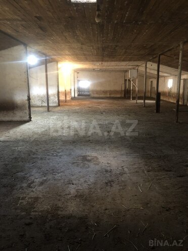 Объект - пос. Мамедли - 600 м² (4)