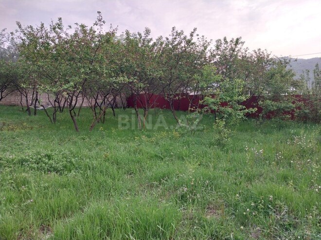 4 otaqlı həyət evi/bağ evi - Quba - 160 m² (6)