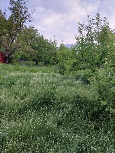 4 otaqlı həyət evi/bağ evi - Quba - 160 m² (3)