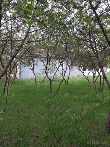 4 otaqlı həyət evi/bağ evi - Quba - 160 m² (13)