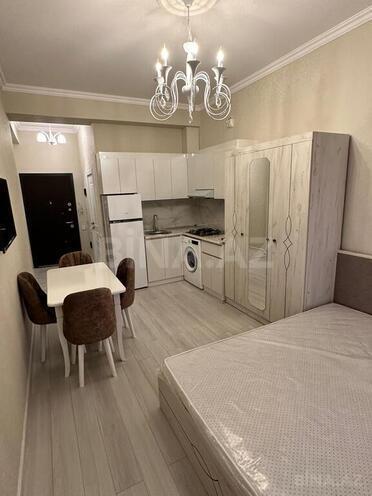1 otaqlı yeni tikili - Nəsimi r. - 41 m² (4)
