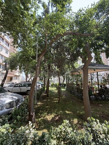 2 otaqlı köhnə tikili - İnşaatçılar m. - 40 m² (4)