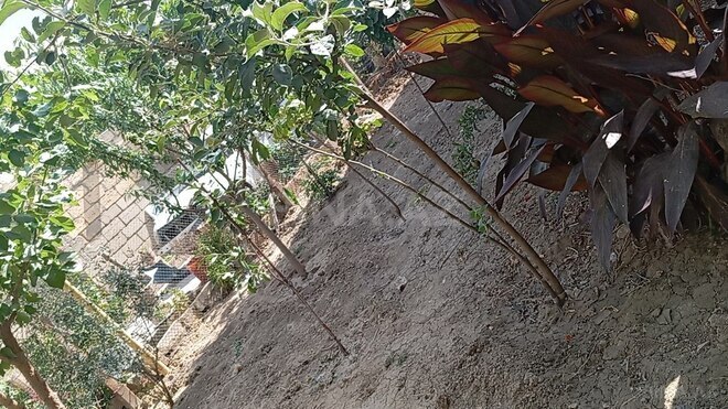 10 otaqlı həyət evi/bağ evi - Hökməli q. - 285 m² (20)