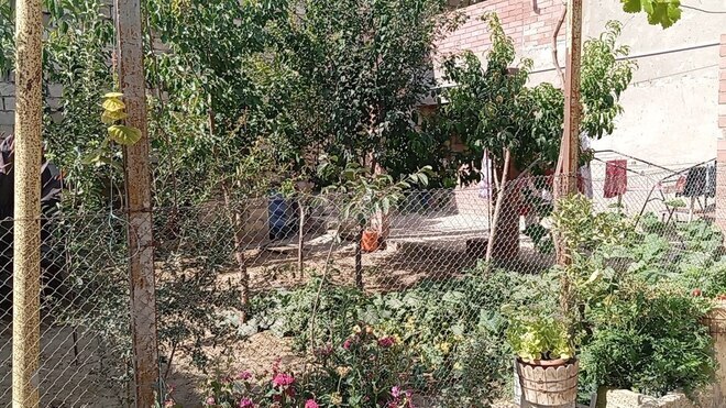 10 otaqlı həyət evi/bağ evi - Hökməli q. - 285 m² (24)