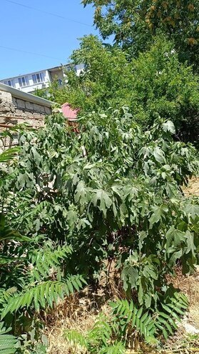 4-комн. дом/дача - м. Кара Караев - 125 м² (15)