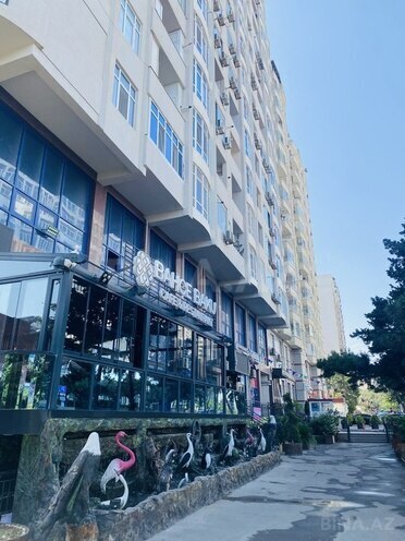 3 otaqlı yeni tikili - Şah İsmayıl Xətai m. - 147 m² (1)
