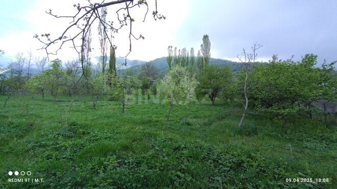 Torpaq - Quba - 12 sot (2)